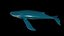 fully rigged low polygon Marine mammals water animals collection