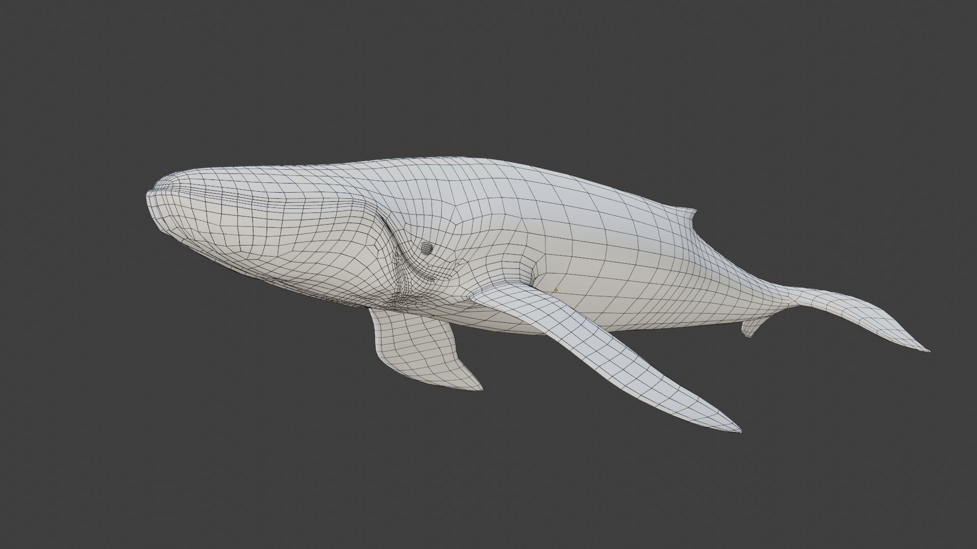 fully rigged marine mammals model https://p.turbosquid.com/ts-thumb/x9/4EI1BW/7D/collection27/jpg/1616057742/1920x1080/fit_q87/64459cbede89effeef2d29d02ecb123788181cc2/collection27.jpg