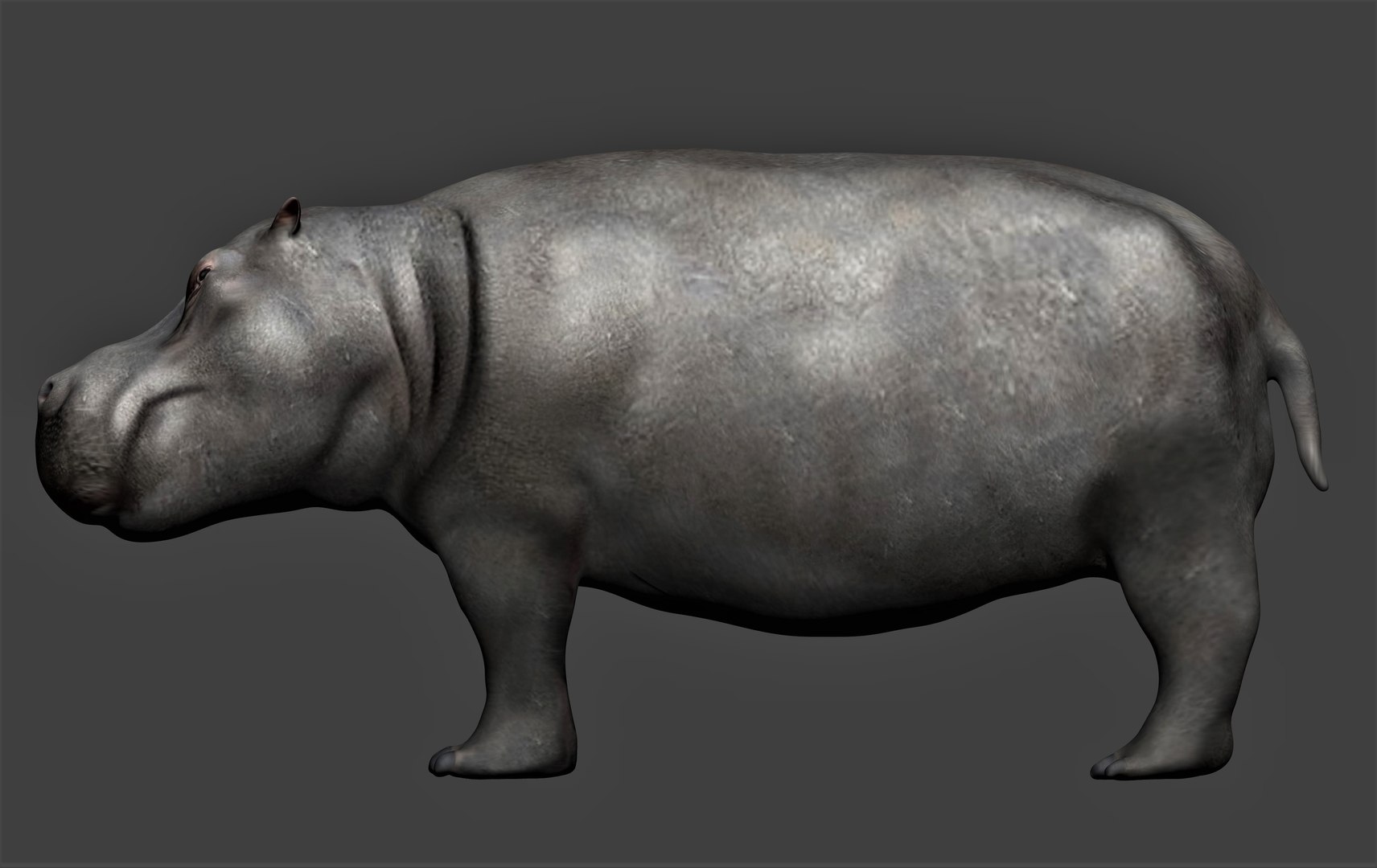 fully rigged marine mammals model https://p.turbosquid.com/ts-thumb/x9/4EI1BW/9c/collection48/jpg/1616057862/1920x1080/fit_q87/c4758ef14f852211297e1914f8135641cb764148/collection48.jpg