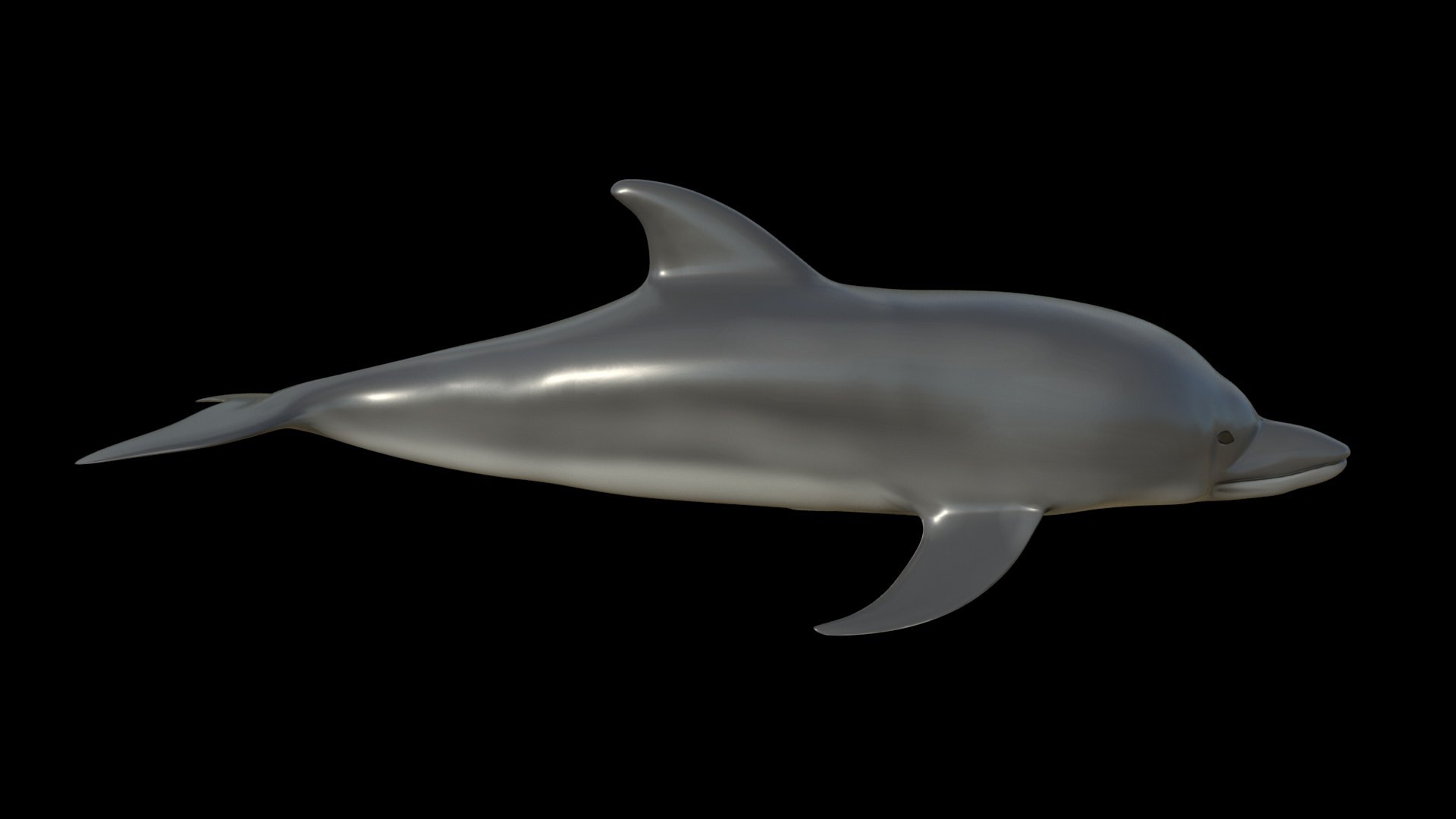 fully rigged marine mammals model https://p.turbosquid.com/ts-thumb/x9/4EI1BW/AV/collection29/jpg/1616057743/1920x1080/fit_q87/26a8b3af38e73ea00115c1d43a8676fe8fef93ed/collection29.jpg