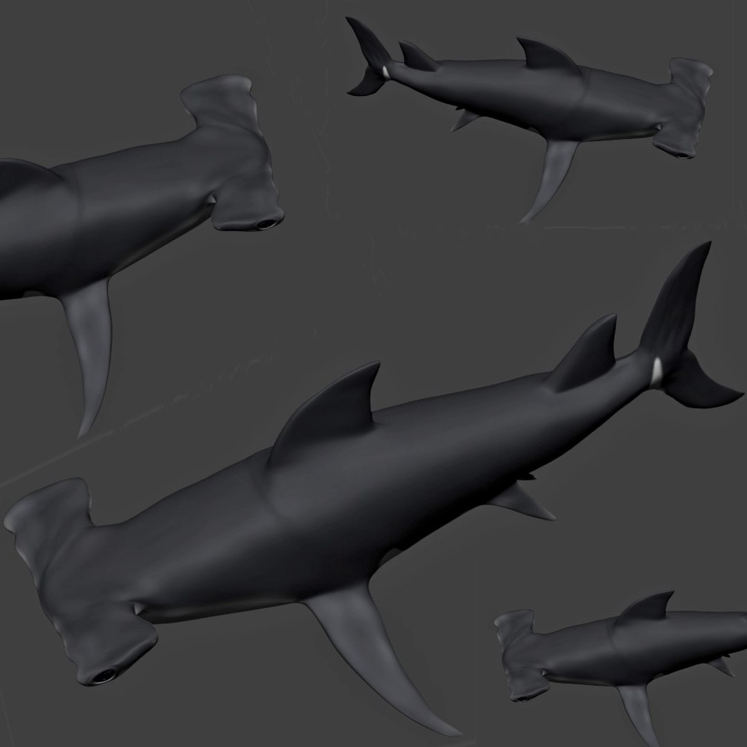 fully rigged marine mammals model https://p.turbosquid.com/ts-thumb/x9/4EI1BW/As/collection36/jpg/1616057753/1920x1080/fit_q87/08cc057bdc7d289ec66f14288893ab9fa2068146/collection36.jpg