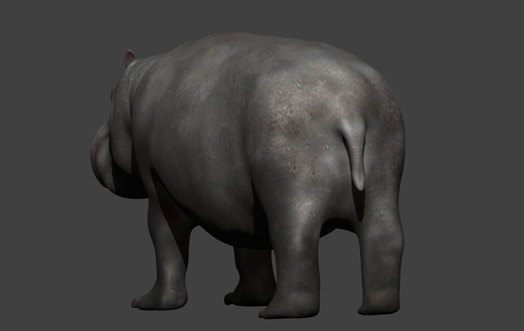 fully rigged marine mammals model https://p.turbosquid.com/ts-thumb/x9/4EI1BW/BY/collection46/jpg/1616057876/1920x1080/fit_q87/30e44ffdd6e455d04cd5457b098ce896c18de638/collection46.jpg