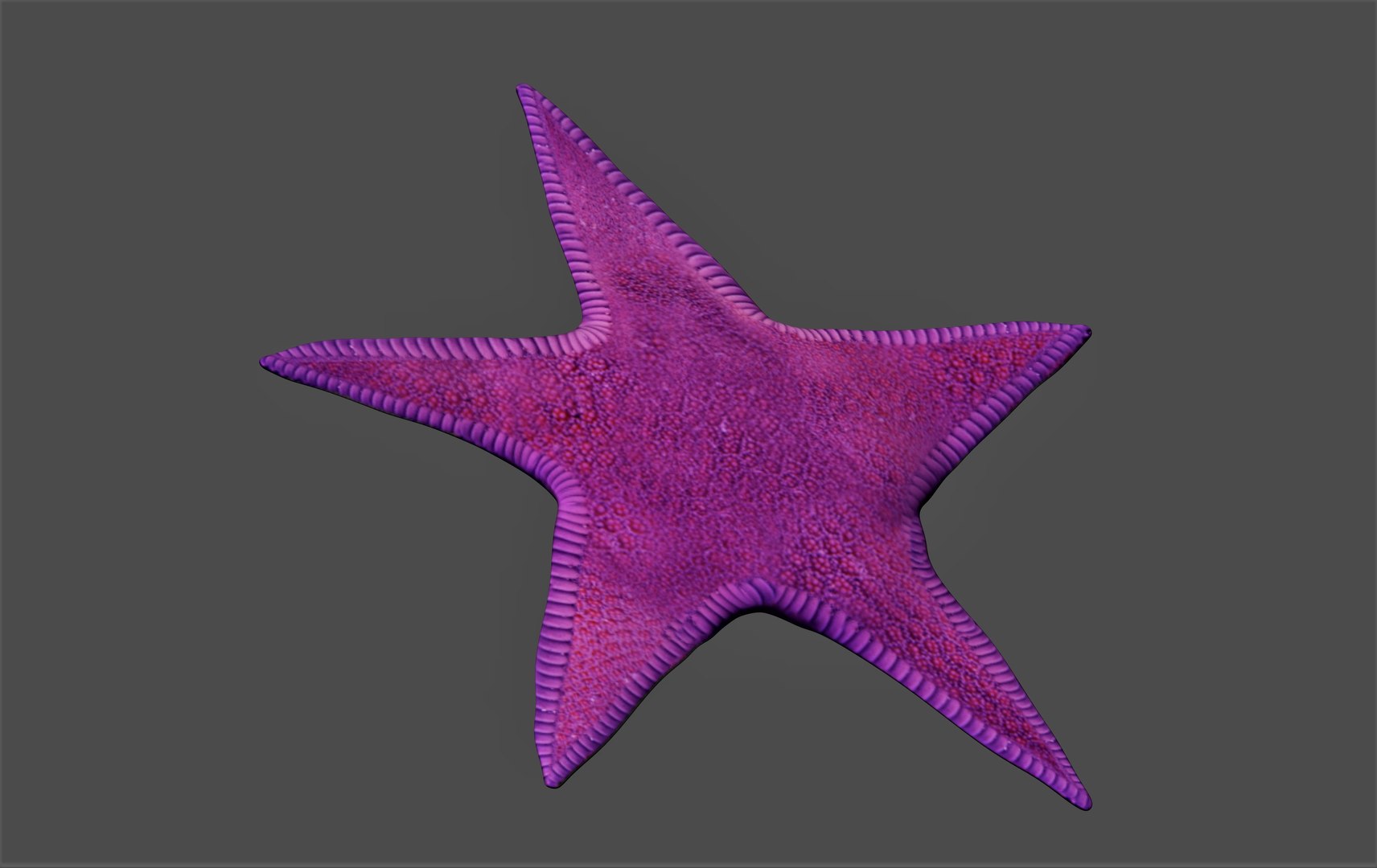 fully rigged marine mammals model https://p.turbosquid.com/ts-thumb/x9/4EI1BW/Ep/collection83/jpg/1616057856/1920x1080/fit_q87/c67594845859e503f304cc4bfaeddcd25e5547fb/collection83.jpg