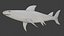 fully rigged low polygon Marine mammals water animals collection