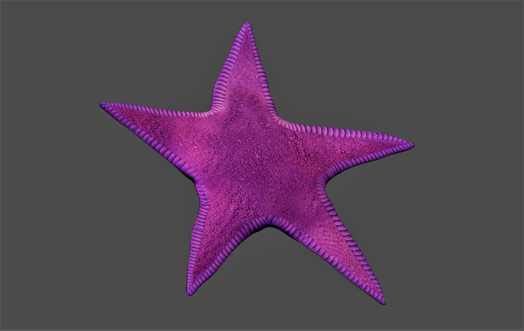 fully rigged marine mammals model https://p.turbosquid.com/ts-thumb/x9/4EI1BW/Gd/collection82/jpg/1616057864/1920x1080/fit_q87/8934f81ff793cf78e259c0a8e1691782c9a8e912/collection82.jpg