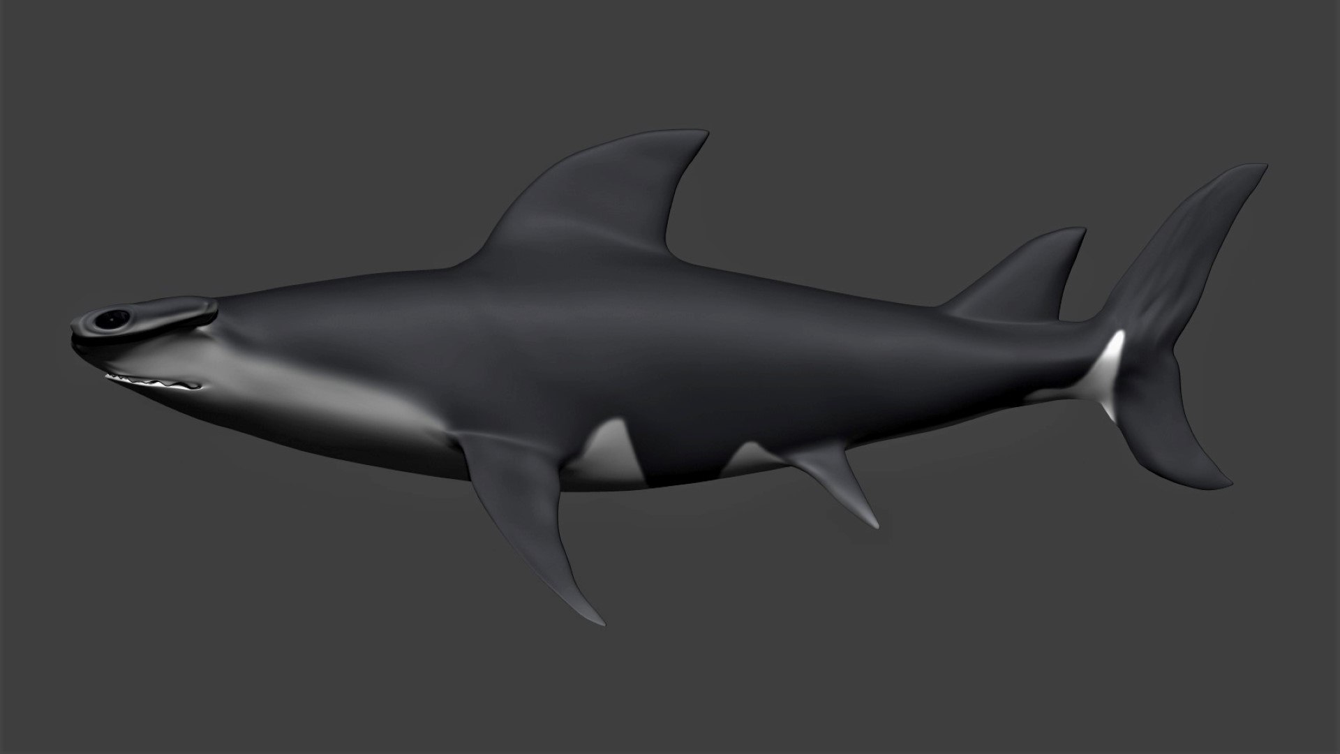 fully rigged marine mammals model https://p.turbosquid.com/ts-thumb/x9/4EI1BW/Lx/collection39/jpg/1616057759/1920x1080/fit_q87/ae764c6862c81d155383cdb6b07e3d26c76fb56a/collection39.jpg