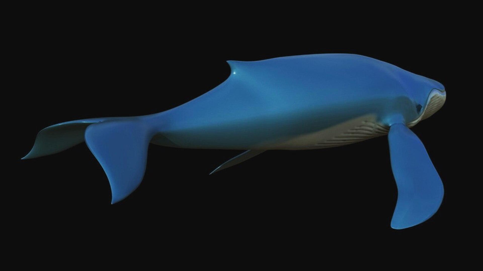 fully rigged marine mammals model https://p.turbosquid.com/ts-thumb/x9/4EI1BW/QT/collection22/jpg/1616057698/1920x1080/fit_q87/d96eddae90269a7fa79fcb175cfdb01dc1d54da9/collection22.jpg