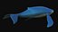 fully rigged low polygon Marine mammals water animals collection
