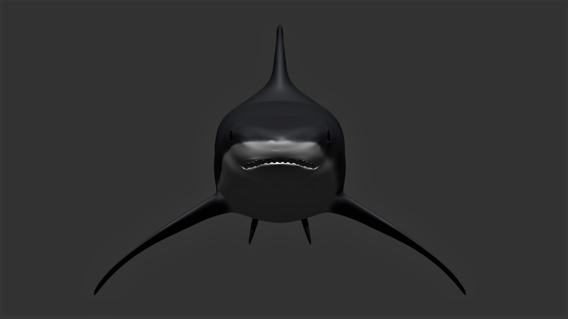 fully rigged marine mammals model https://p.turbosquid.com/ts-thumb/x9/4EI1BW/Qn/collection5/jpg/1616057710/1920x1080/fit_q87/8874123a238569664a30e67ab29c341f79e6c207/collection5.jpg