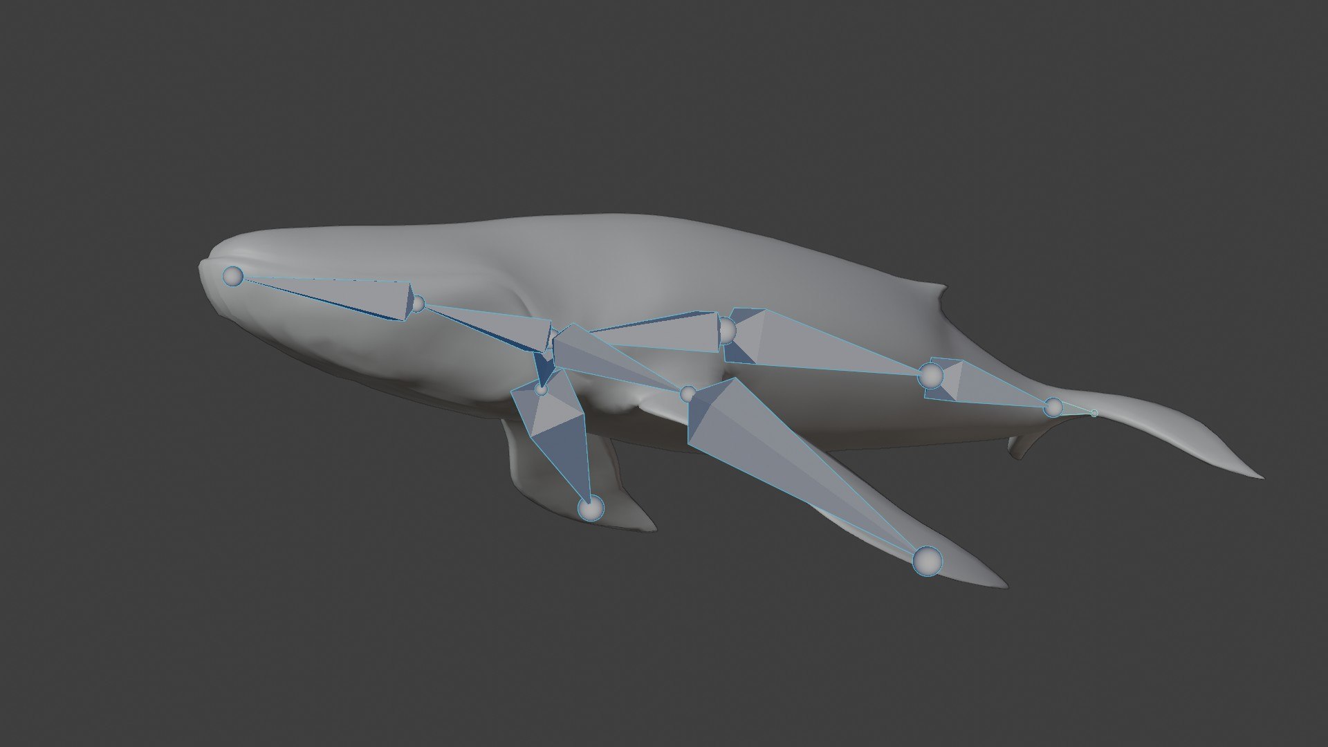fully rigged marine mammals model https://p.turbosquid.com/ts-thumb/x9/4EI1BW/R1/collection26/jpg/1616057741/1920x1080/fit_q87/68158f66d3f6cd74710312f171ab7d4b01055144/collection26.jpg