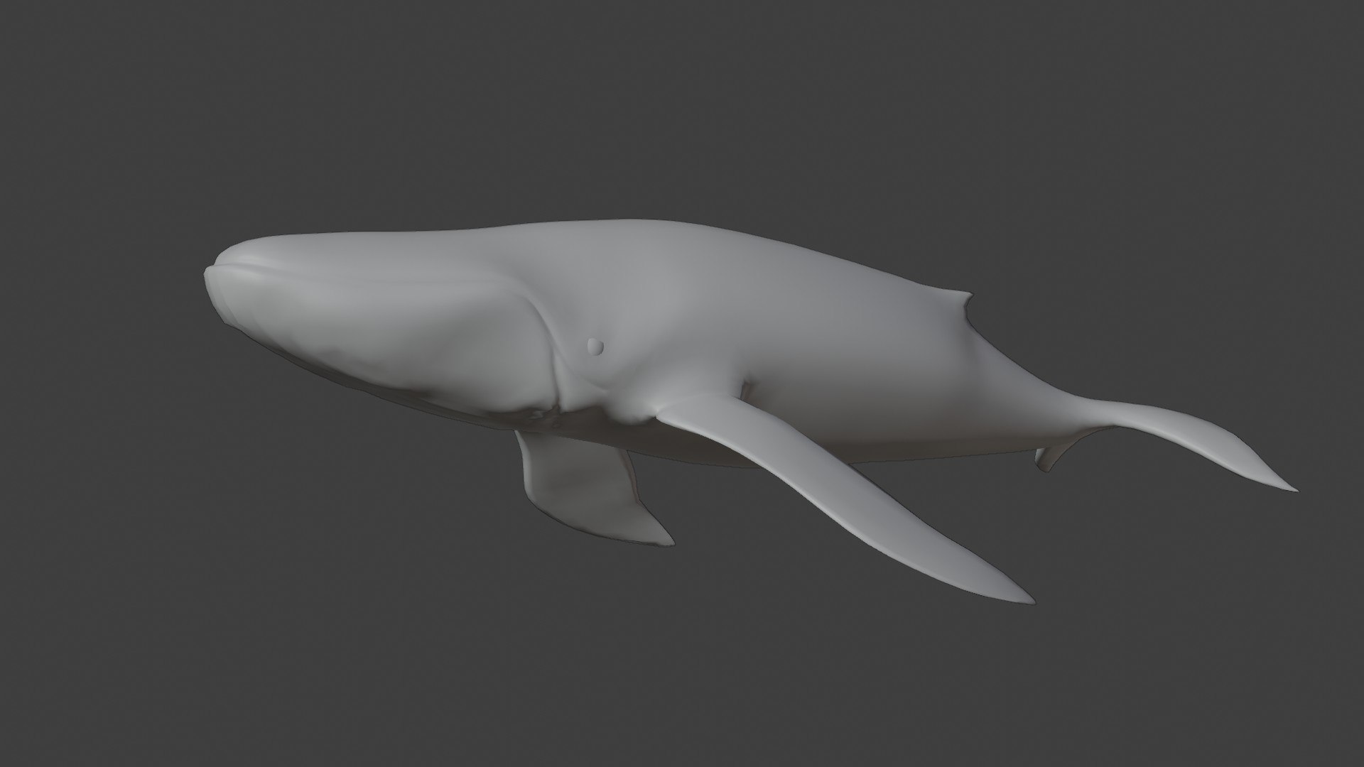 fully rigged marine mammals model https://p.turbosquid.com/ts-thumb/x9/4EI1BW/Rc/collection17/jpg/1616057735/1920x1080/fit_q87/af17ef5e336f79f643ede362c5e026bfd0b28236/collection17.jpg