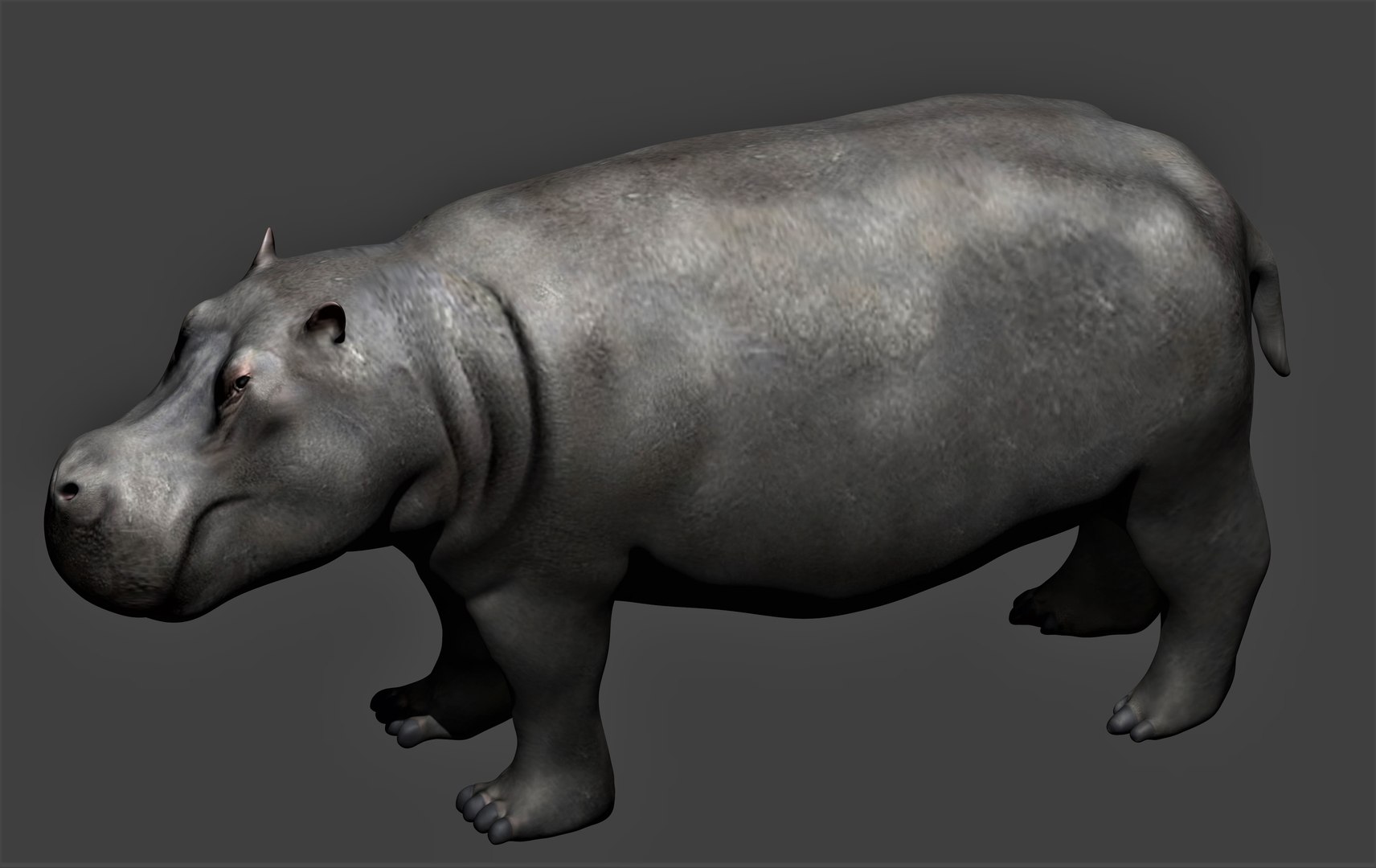 fully rigged marine mammals model https://p.turbosquid.com/ts-thumb/x9/4EI1BW/Rd/collection49/jpg/1616057888/1920x1080/fit_q87/e40bc45a3ba62e4bf00e81d3ab4c38cfaa98256d/collection49.jpg