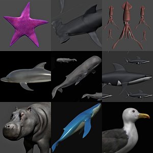 fully rigged marine mammals model