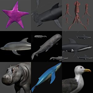 fully rigged low polygon Marine mammals water animals collection