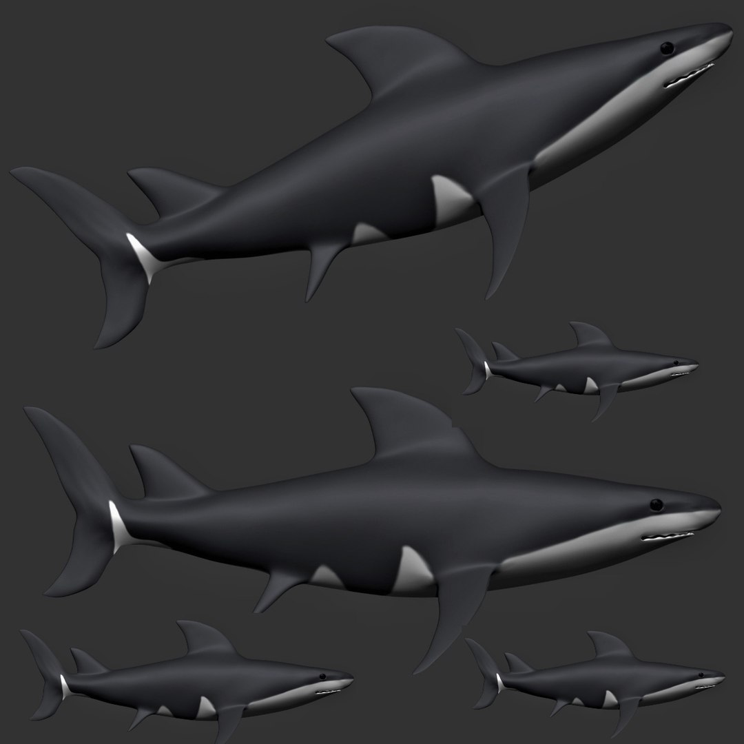 fully rigged marine mammals model https://p.turbosquid.com/ts-thumb/x9/4EI1BW/b1/collection2/jpg/1616057799/1920x1080/fit_q87/f1f8f750df9a476ce05874393d1878dbb9aff156/collection2.jpg