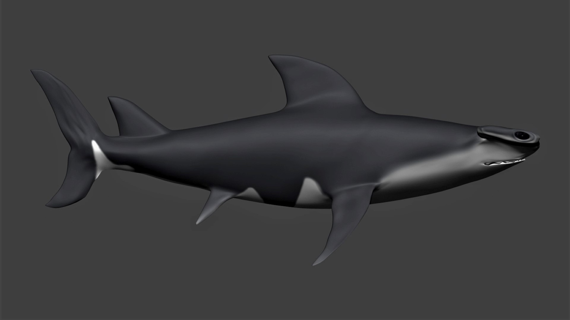fully rigged marine mammals model https://p.turbosquid.com/ts-thumb/x9/4EI1BW/d3/collection40/jpg/1616057766/1920x1080/fit_q87/765269cdb23cfde549e7d67c424d94ae87d55e84/collection40.jpg