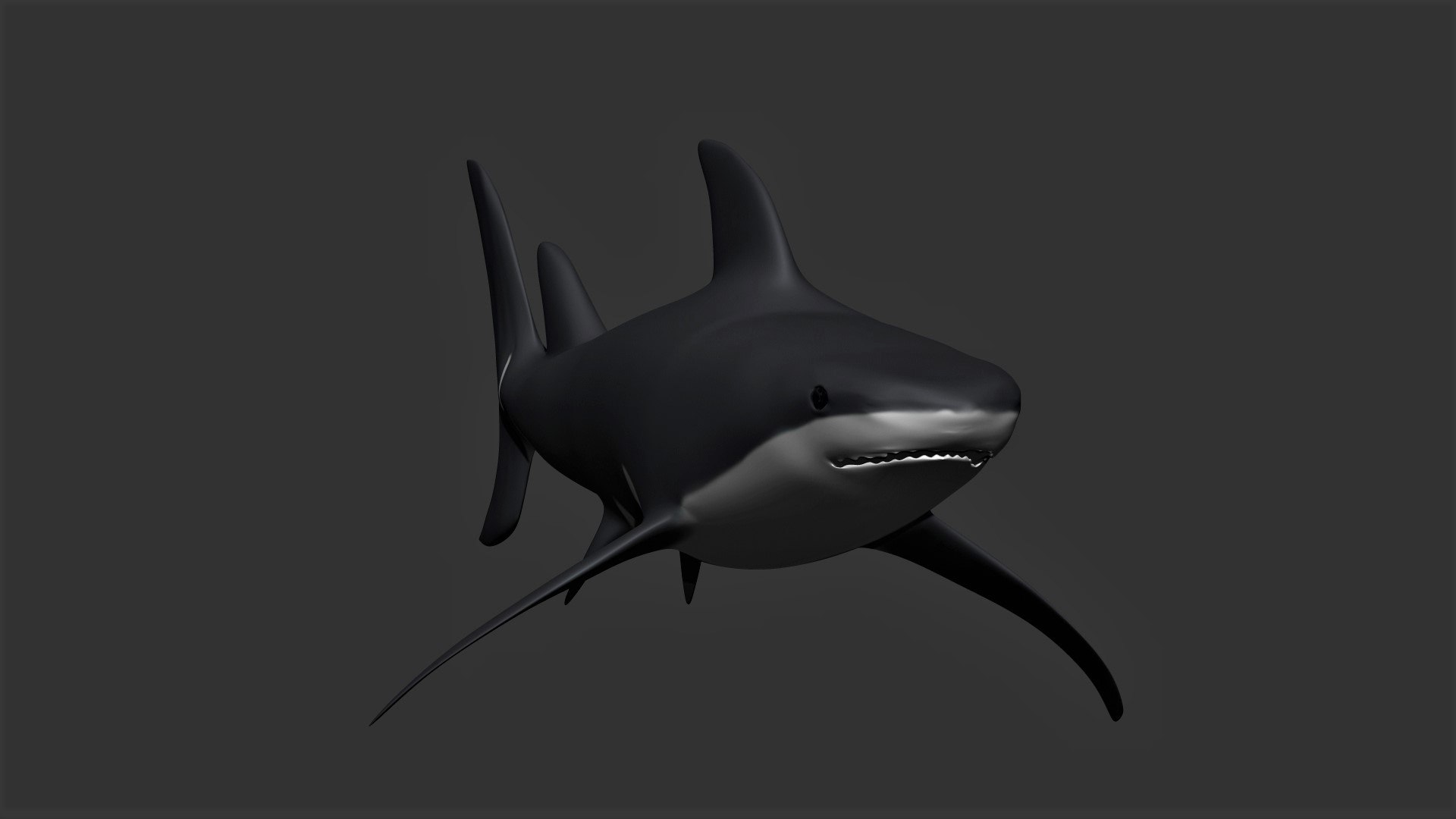 fully rigged marine mammals model https://p.turbosquid.com/ts-thumb/x9/4EI1BW/el/collection3/jpg/1616057718/1920x1080/fit_q87/9c1cda9b06f48fbdc0eb92faa963747e1582a410/collection3.jpg