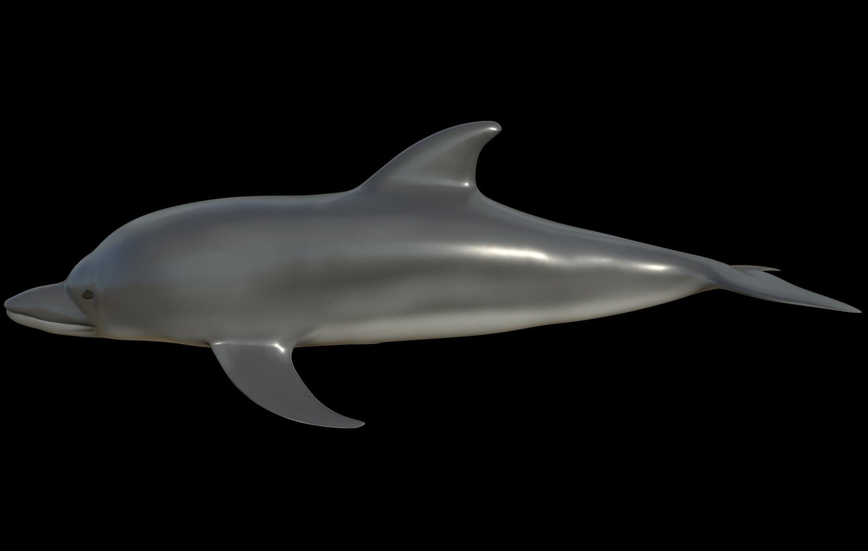 fully rigged marine mammals model https://p.turbosquid.com/ts-thumb/x9/4EI1BW/eu/collection28/jpg/1616057743/1920x1080/fit_q87/0a963cf0adcb5a84b37597ba9a3d0a78fbea4bde/collection28.jpg