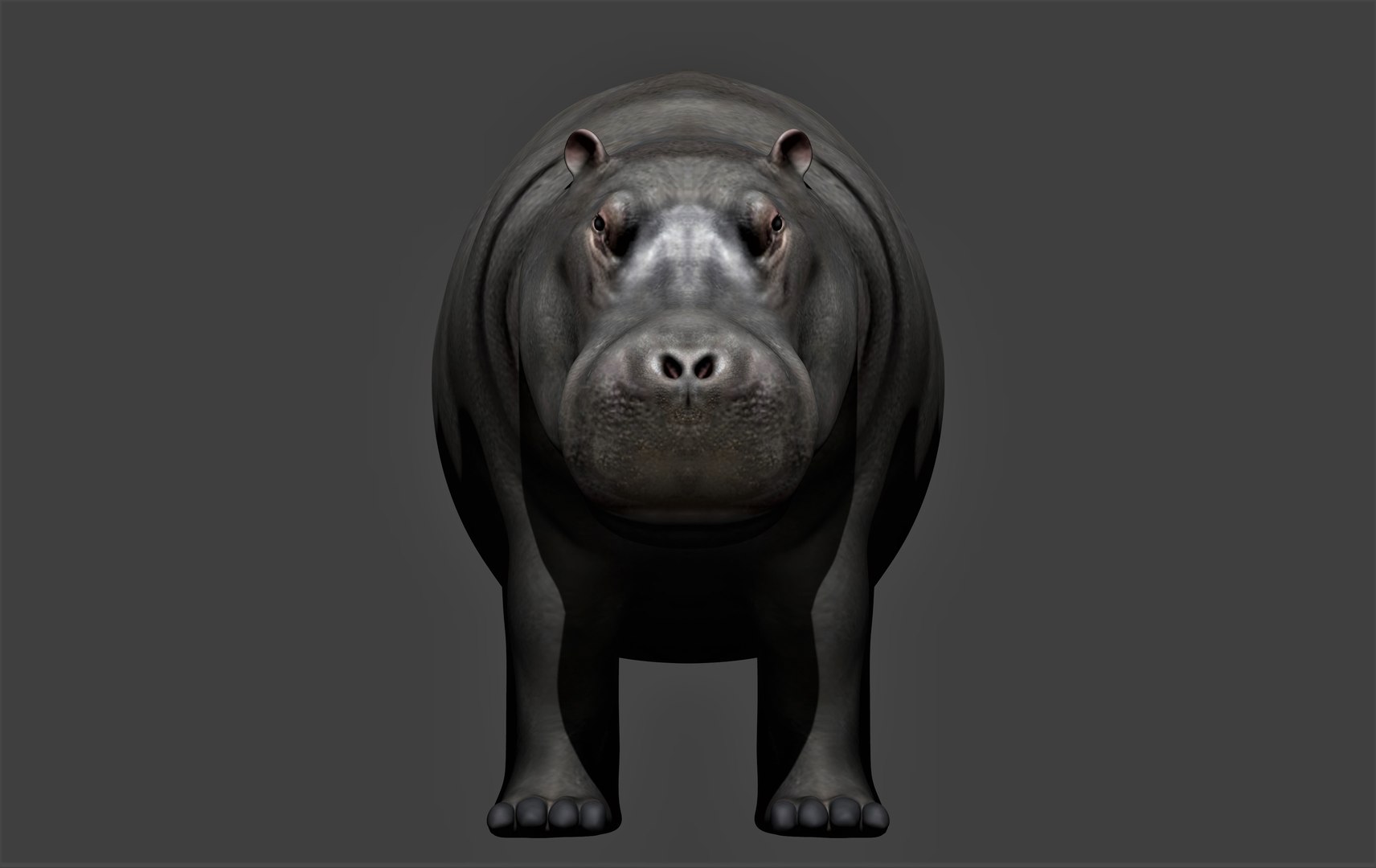 fully rigged marine mammals model https://p.turbosquid.com/ts-thumb/x9/4EI1BW/fu/collection47/jpg/1616057830/1920x1080/fit_q87/3d8ab536da1bf5b46e49c8029f808be5cc402bf4/collection47.jpg