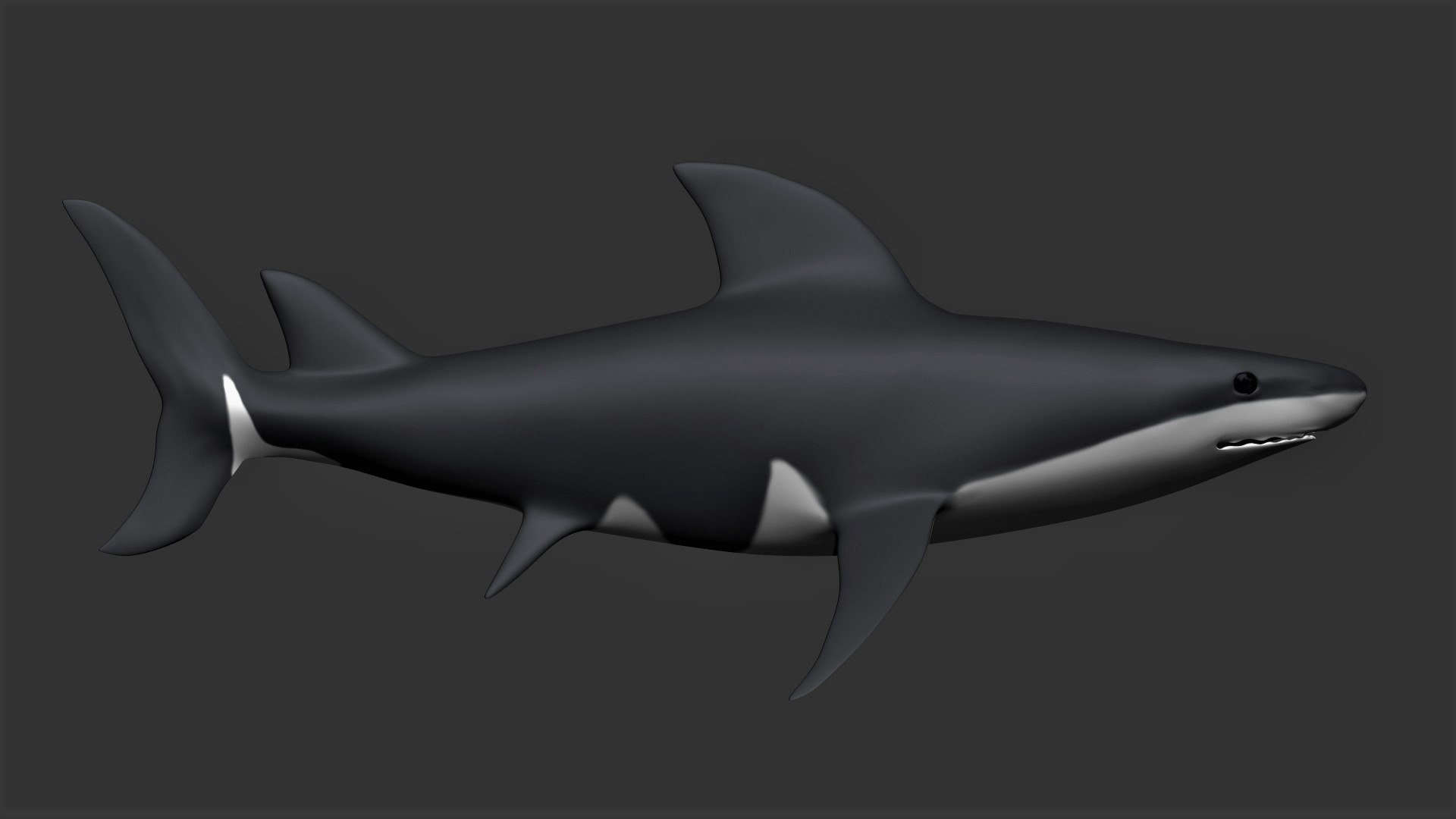 fully rigged marine mammals model https://p.turbosquid.com/ts-thumb/x9/4EI1BW/hB/collection4/jpg/1616057710/1920x1080/fit_q87/d8851ee824846a076d895257d2317919e92ad91a/collection4.jpg