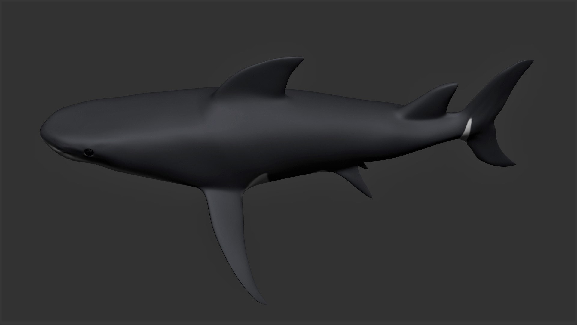 fully rigged marine mammals model https://p.turbosquid.com/ts-thumb/x9/4EI1BW/hg/collection7/jpg/1616057718/1920x1080/fit_q87/ca1e8d69617c88c889cfb717b6be7c9ad5808b42/collection7.jpg