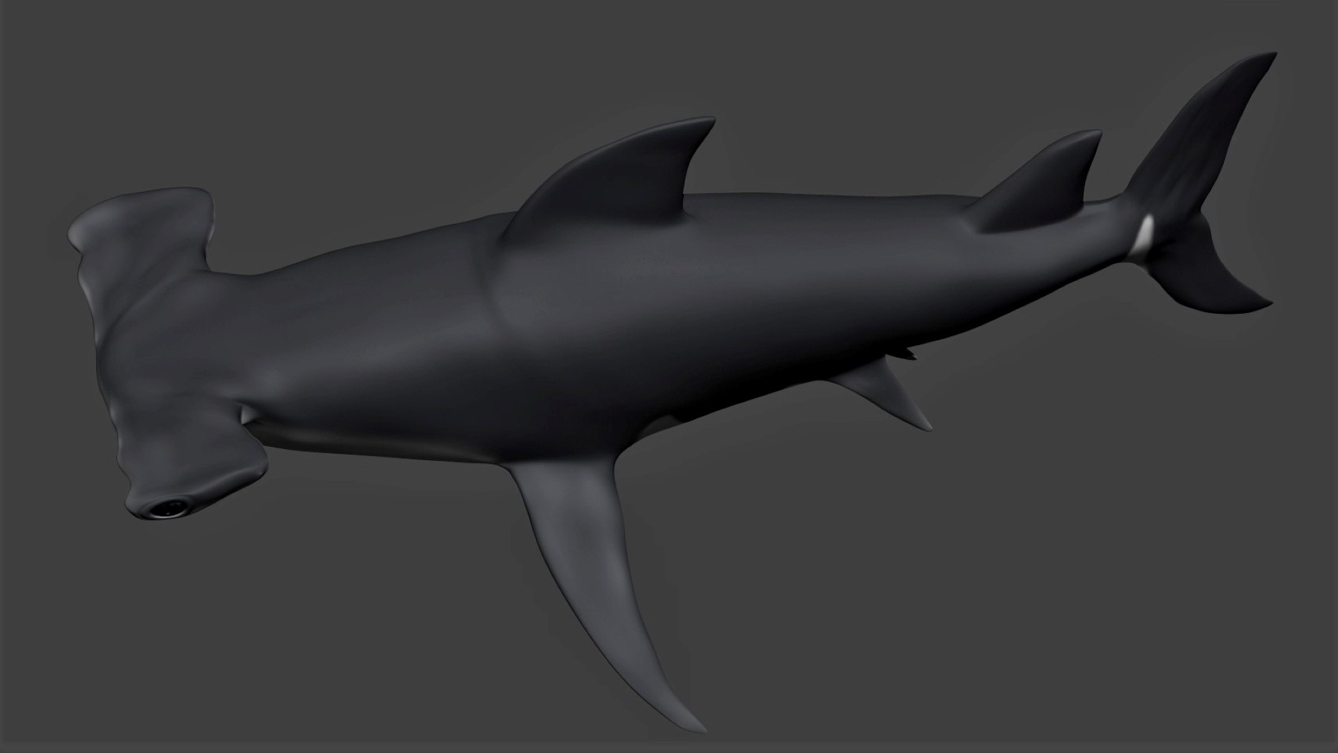 fully rigged marine mammals model https://p.turbosquid.com/ts-thumb/x9/4EI1BW/iG/collection41/jpg/1616057803/1920x1080/fit_q87/80fb04067831d788160b3457bd80baa36f74bcf3/collection41.jpg
