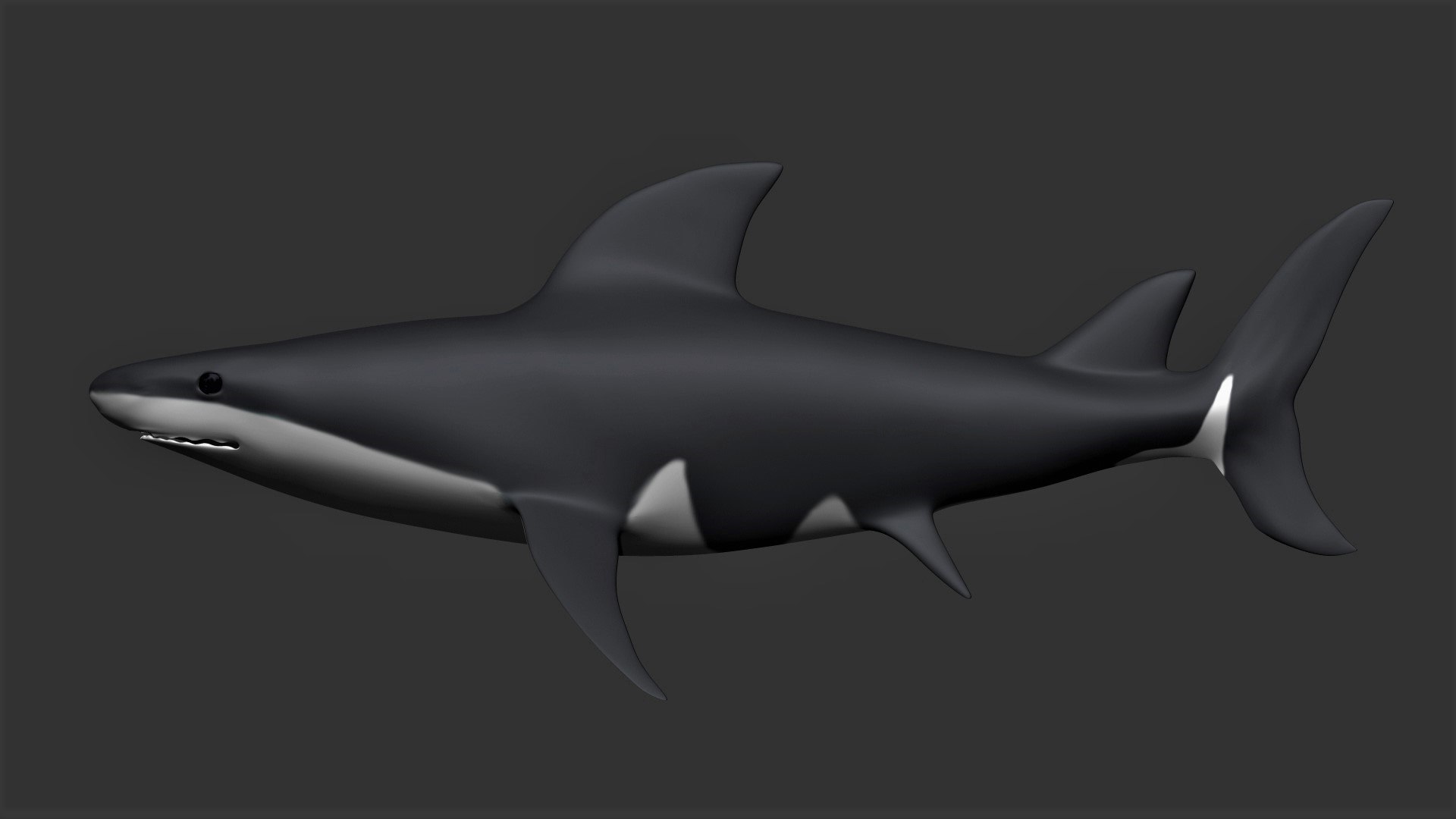 fully rigged marine mammals model https://p.turbosquid.com/ts-thumb/x9/4EI1BW/iH/collection6/jpg/1616057714/1920x1080/fit_q87/36a35c3817436e9902893e83696a0dd253c8dcad/collection6.jpg