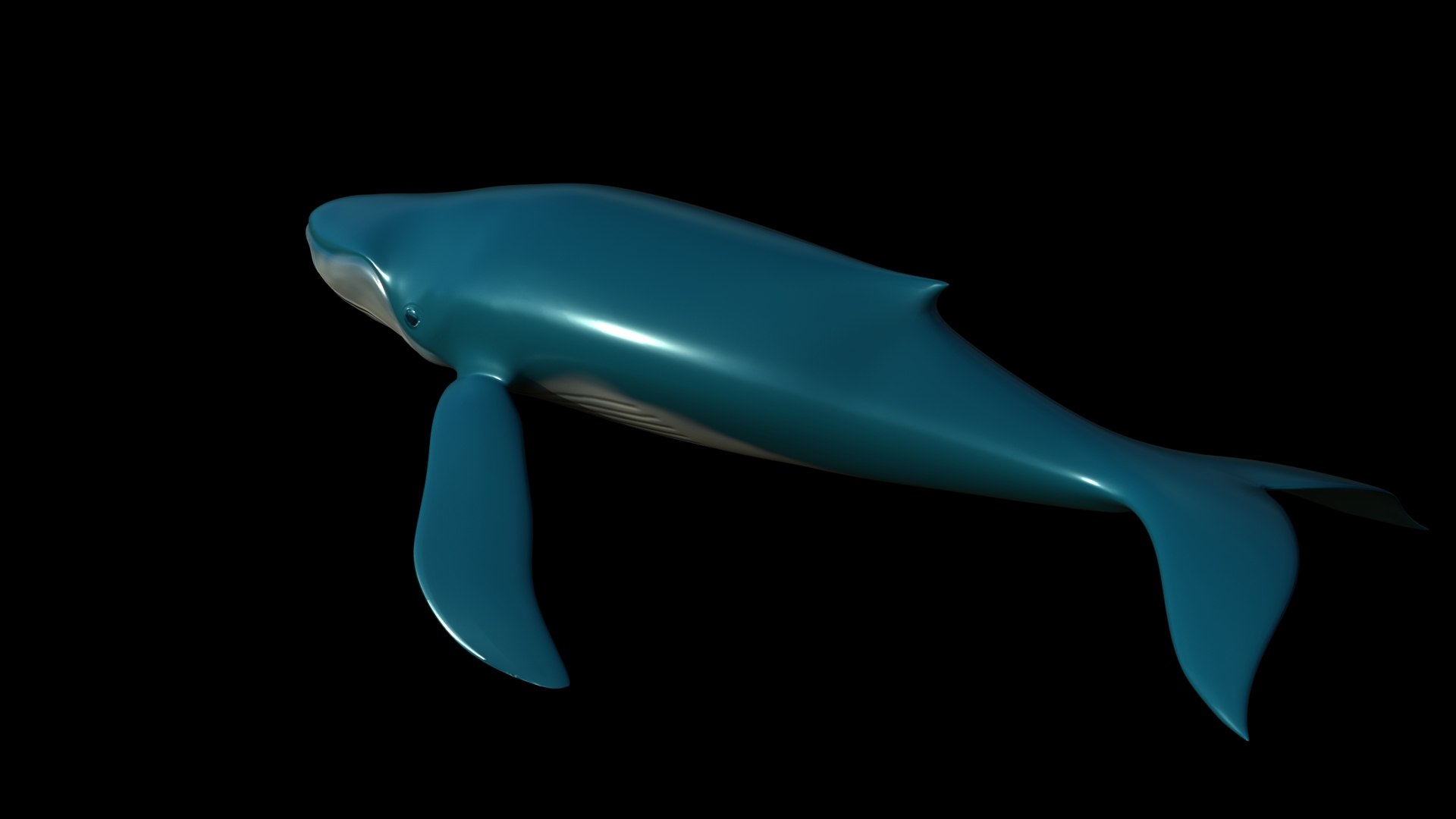 fully rigged marine mammals model https://p.turbosquid.com/ts-thumb/x9/4EI1BW/jn/collection16/jpg/1616057730/1920x1080/fit_q87/6ad3efe0ba14a39bebcfbe51161a17ebf77e3e37/collection16.jpg