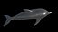fully rigged low polygon Marine mammals water animals collection