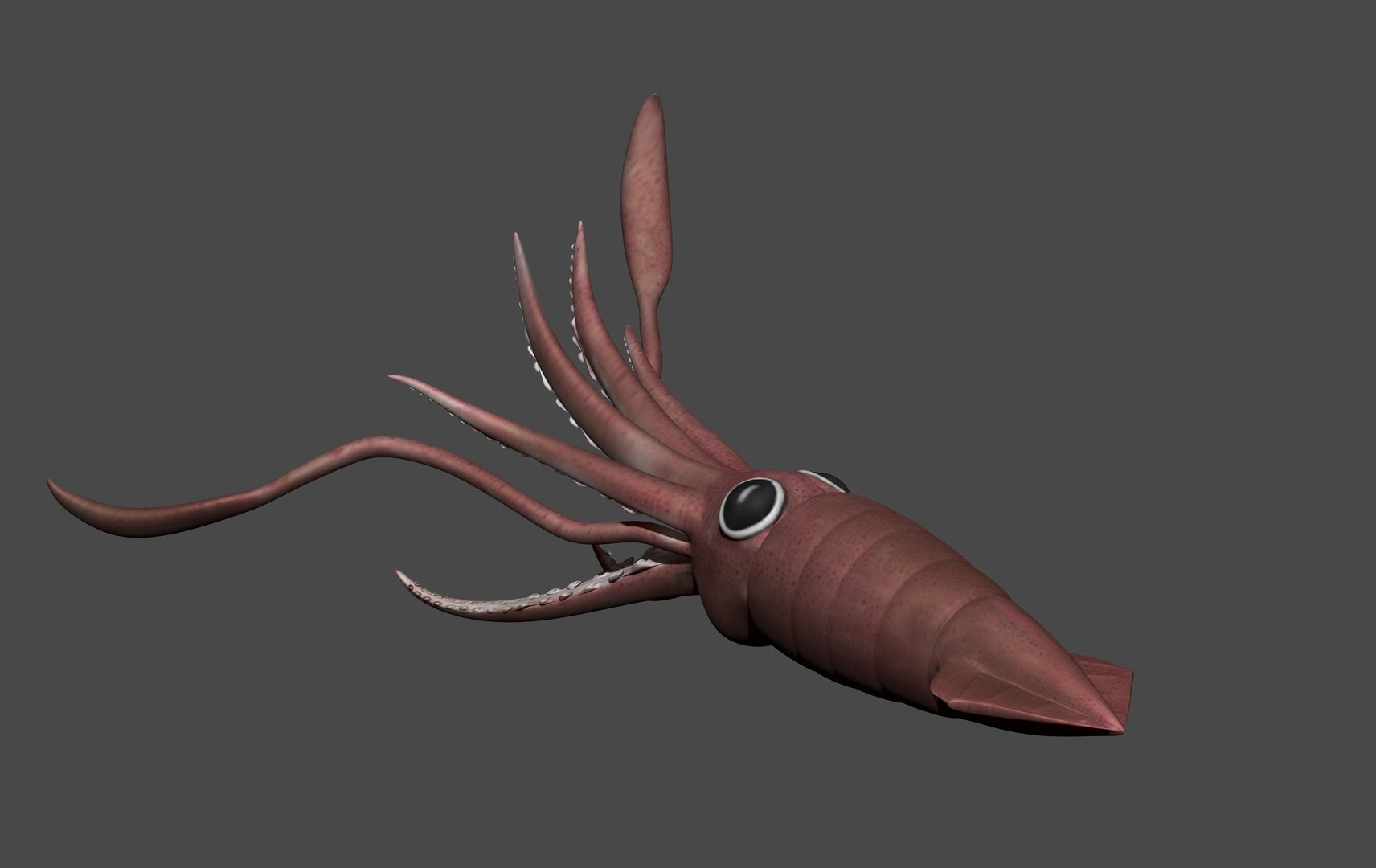 fully rigged marine mammals model https://p.turbosquid.com/ts-thumb/x9/4EI1BW/oD/collection75/jpg/1616057901/1920x1080/fit_q87/dd692c3c53d3a71de008f150939e28d0905b87fb/collection75.jpg
