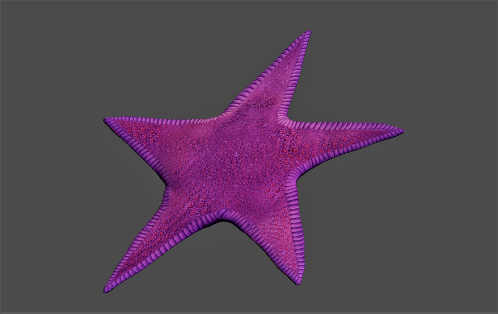 fully rigged marine mammals model https://p.turbosquid.com/ts-thumb/x9/4EI1BW/oL/collection81/jpg/1616057850/1920x1080/fit_q87/0f2ab744724fae953b6fff6ab7c47a9af97ac532/collection81.jpg