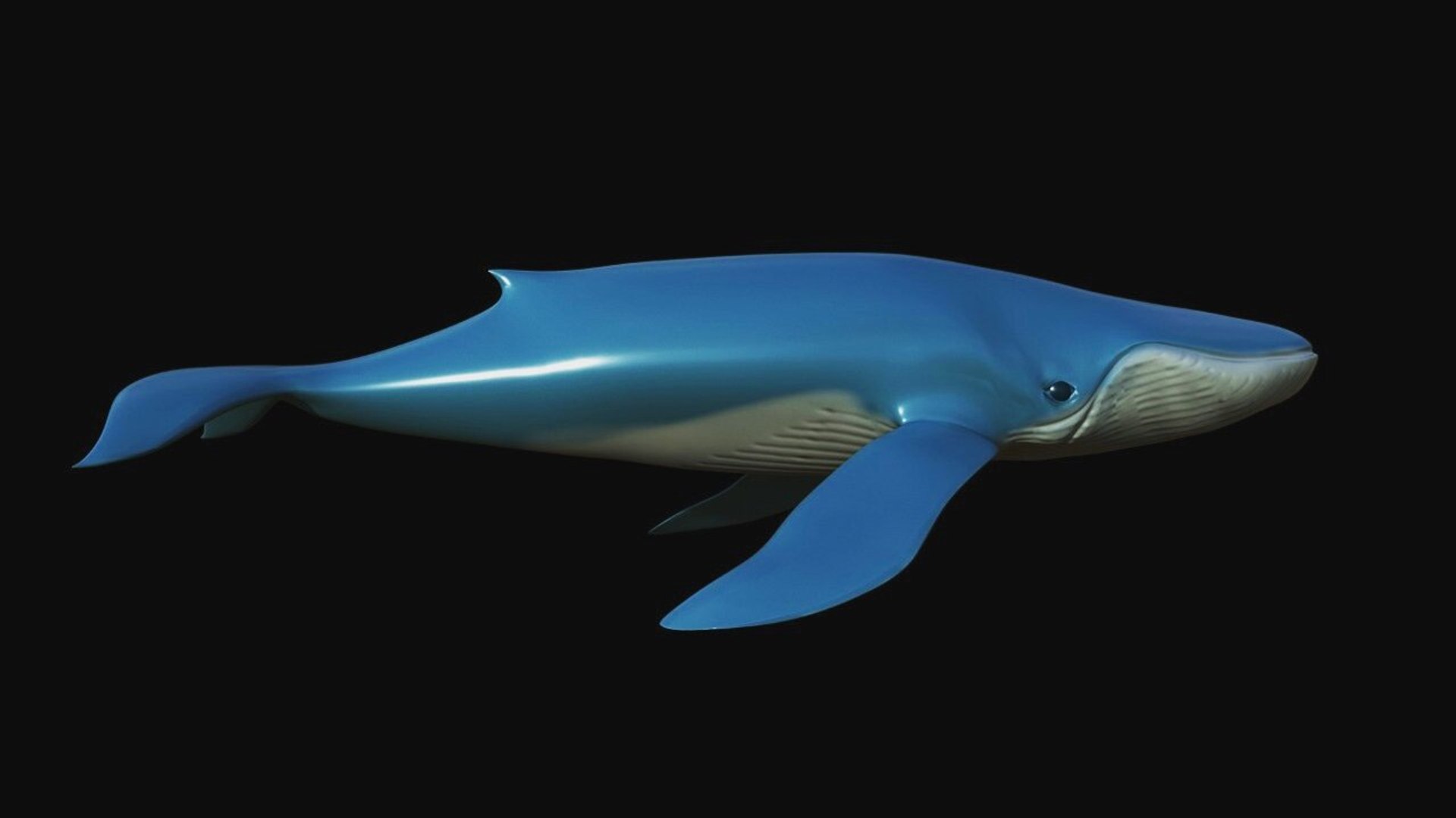 fully rigged marine mammals model https://p.turbosquid.com/ts-thumb/x9/4EI1BW/sb/collection21/jpg/1616057700/1920x1080/fit_q87/9cc649de8b86b6a5ef69483d8ae618cbb20de1d1/collection21.jpg