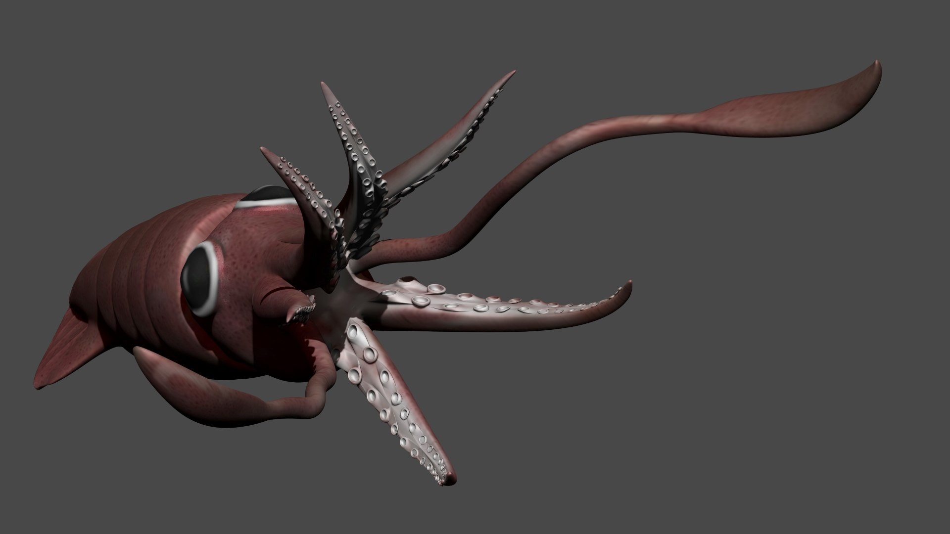 fully rigged marine mammals model https://p.turbosquid.com/ts-thumb/x9/4EI1BW/v3/collection72/jpg/1616057823/1920x1080/fit_q87/d1d5f925c00249b69d762071238514bc0202c31c/collection72.jpg