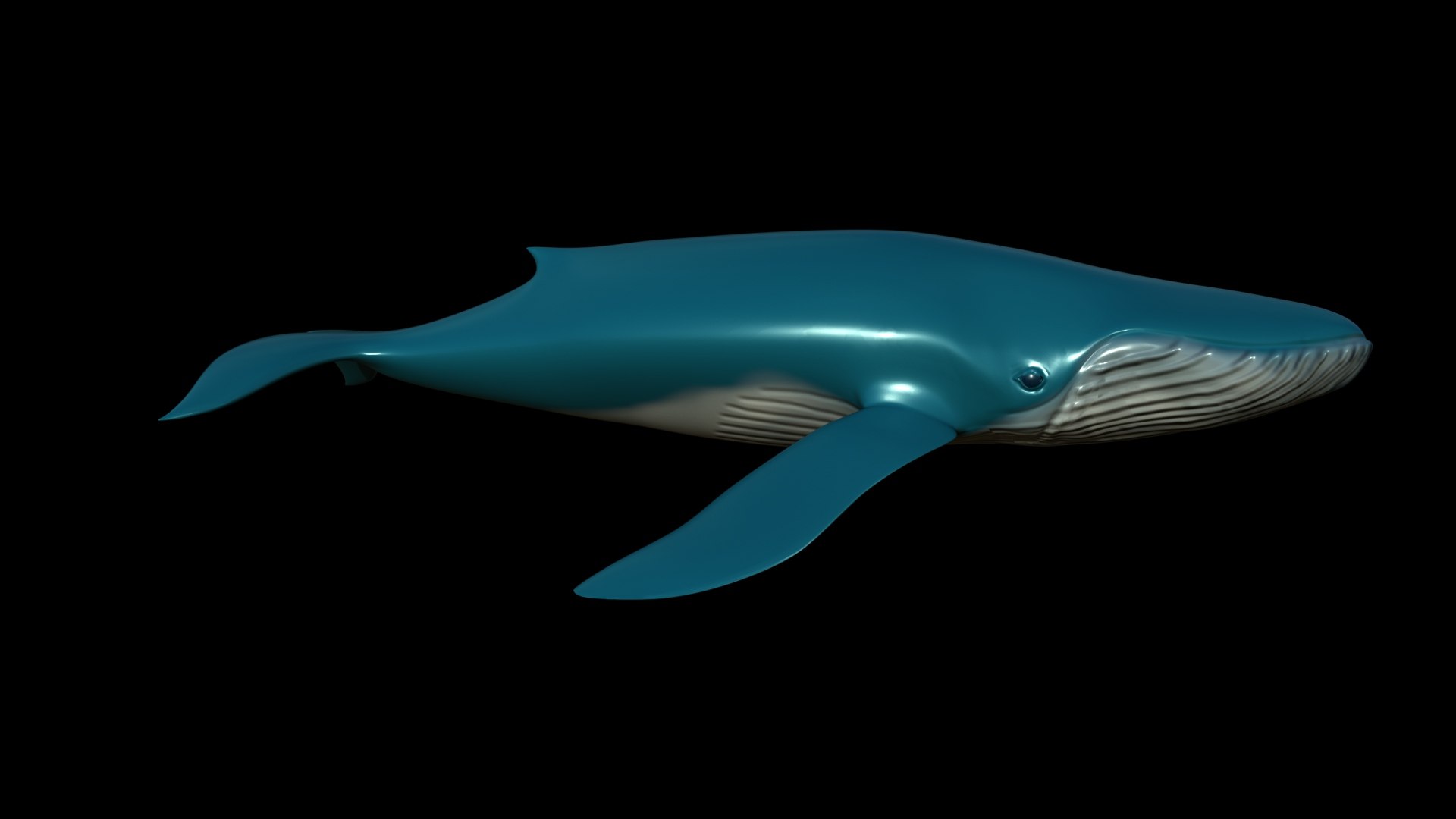 fully rigged marine mammals model https://p.turbosquid.com/ts-thumb/x9/4EI1BW/yB/collection13/jpg/1616057725/1920x1080/fit_q87/36954689d0826a599557b0cf1c60ae878b314779/collection13.jpg