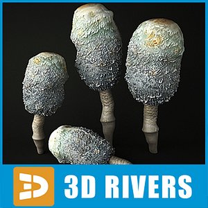 Shaggy mane by 3DRivers