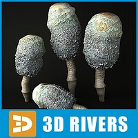 Shaggy mane by 3DRivers