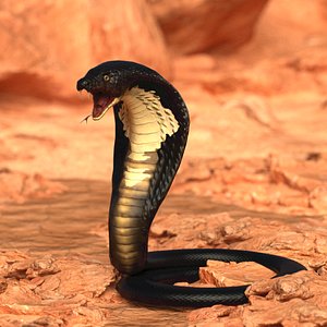 3D model venomous snakes reptiles animals