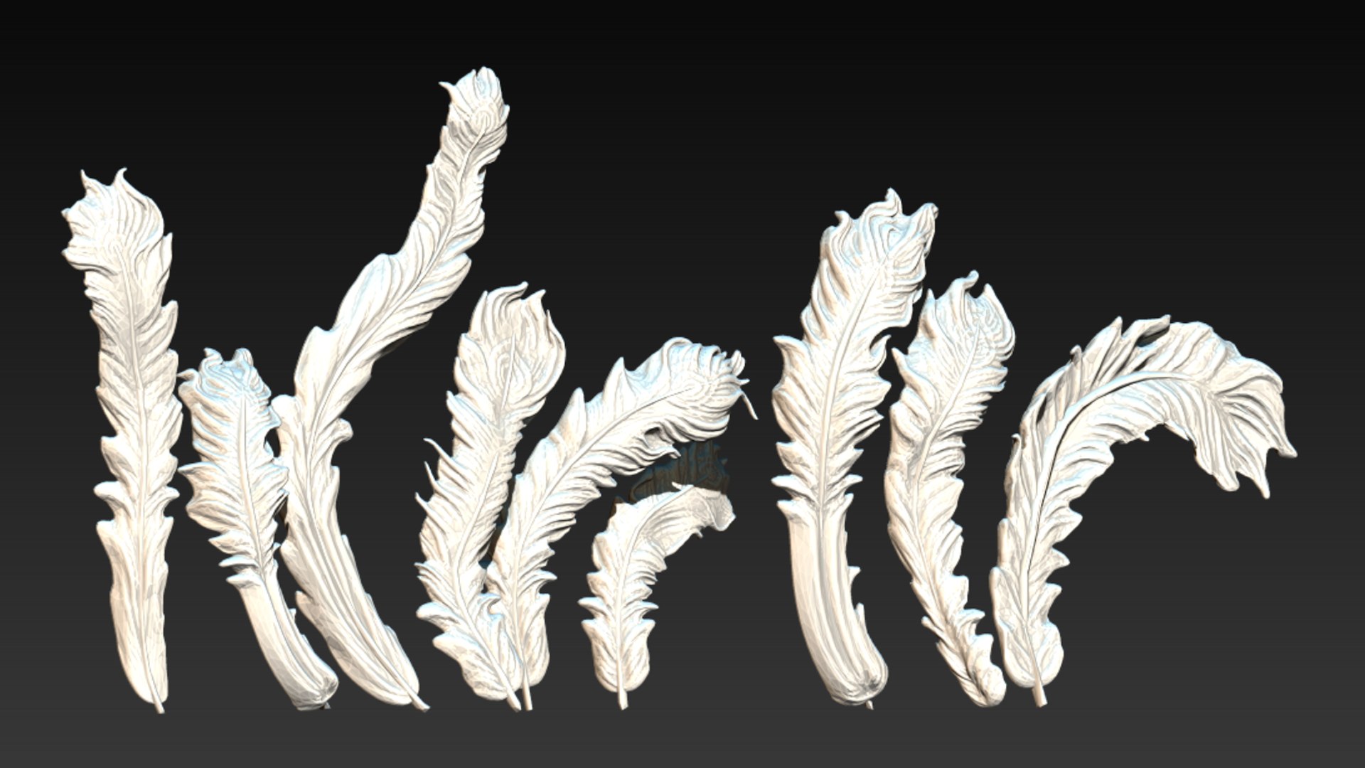 Feather Collection 3D Model - TurboSquid 2215442