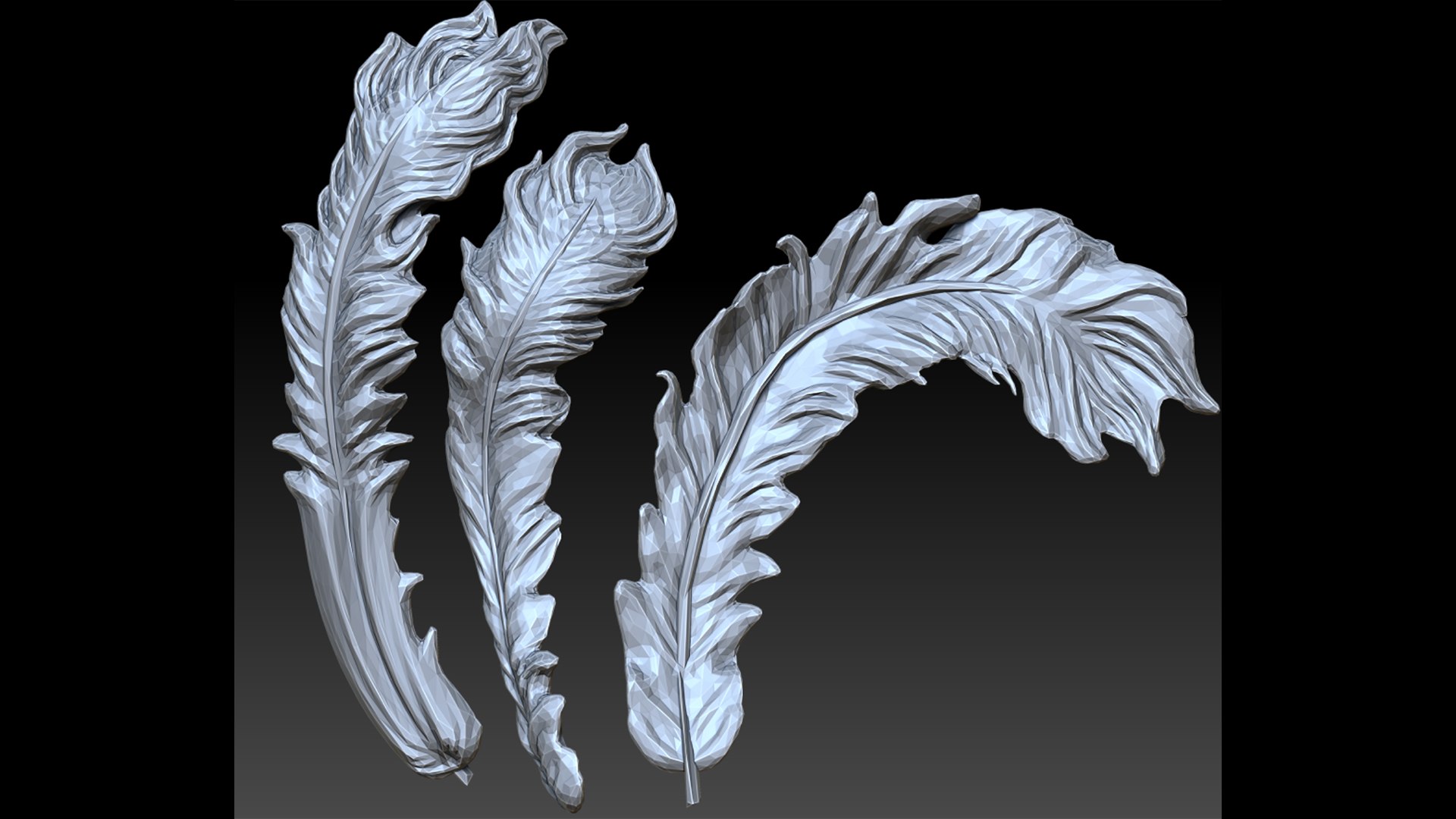 Feather Collection 3D Model - TurboSquid 2215442