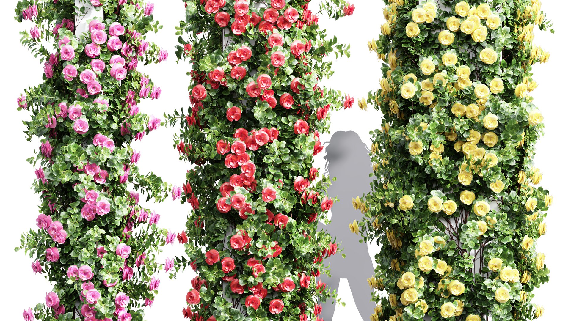 New Plant High Detail Climbing Roses Cube Columns 3D Model - TurboSquid ...