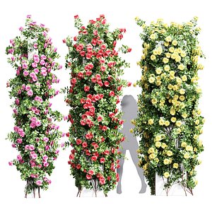 New Plant High detail Climbing Roses Cube Columns