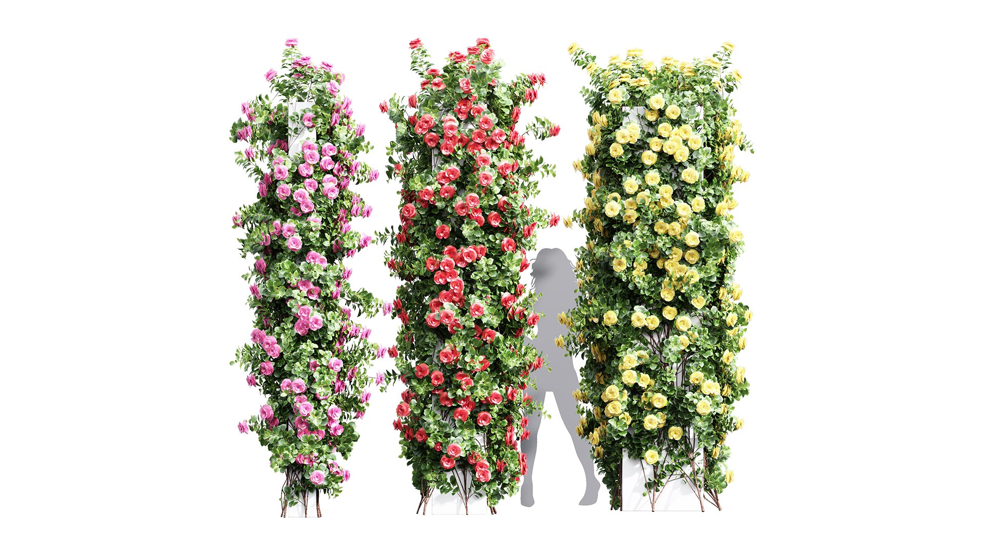New Plant High Detail Climbing Roses Cube Columns 3D Model - TurboSquid ...