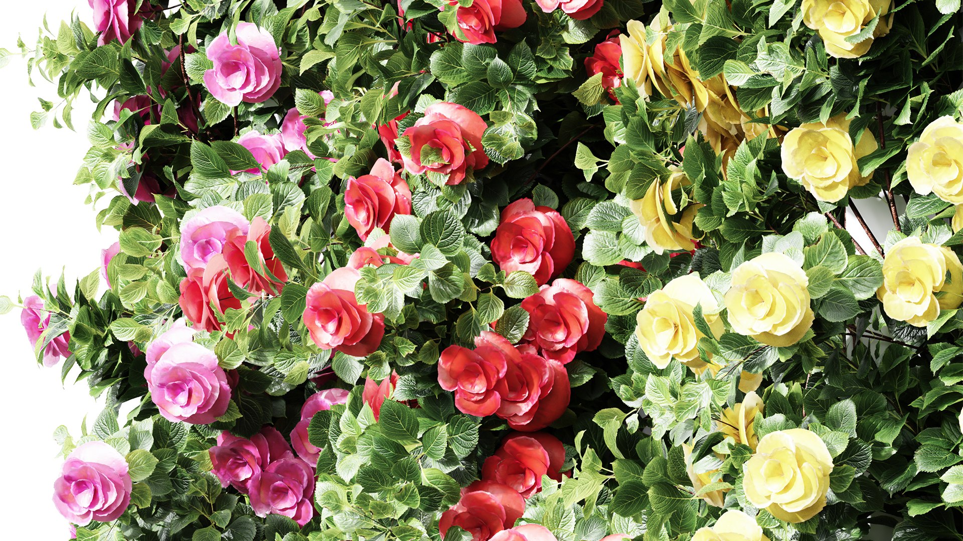 New Plant High Detail Climbing Roses Cube Columns 3D Model - TurboSquid ...