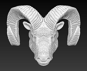 3D ram head horn