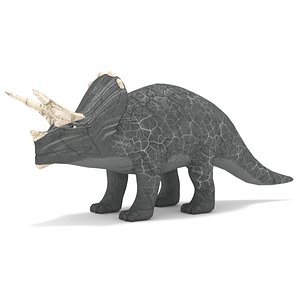 3D Triceratops
