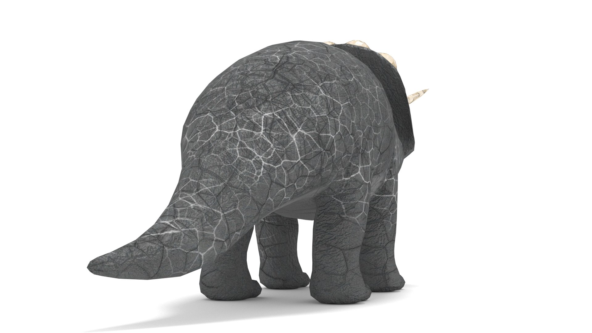 3D Triceratops https://p.turbosquid.com/ts-thumb/x9/bUswBu/Be/004/jpg/1756028915/1920x1080/fit_q87/d485a7fde1fc607bbfa7d8b4b2a928033ce1df06/004.jpg
