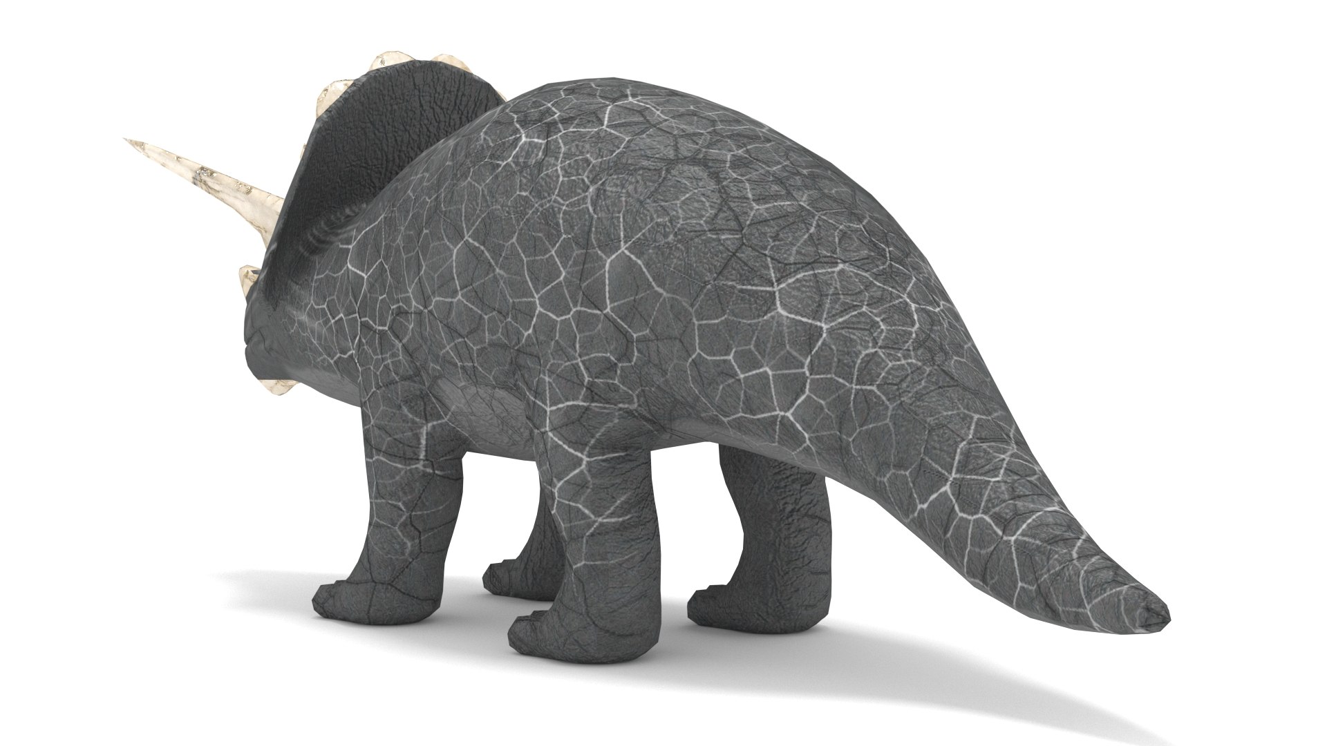 3D Triceratops https://p.turbosquid.com/ts-thumb/x9/bUswBu/HN/001/jpg/1756028913/1920x1080/fit_q87/7a28270c49894c9d55f69f31f15d7a007e23c100/001.jpg