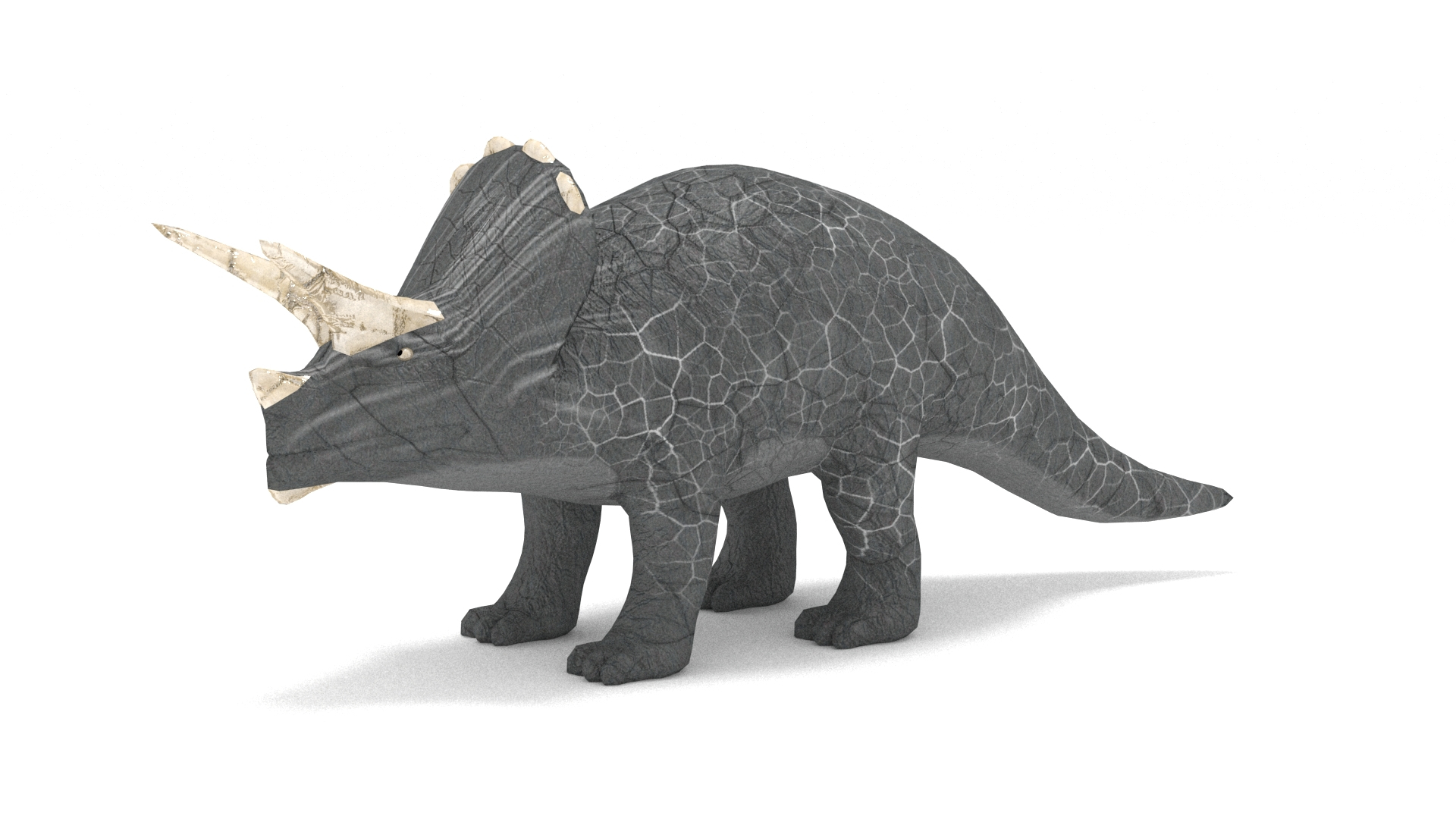 3D Triceratops https://p.turbosquid.com/ts-thumb/x9/bUswBu/rc/image/jpg/1756028994/1920x1080/turn_fit_q99/746d08f96d6479daada766a1bbe31141ba4cde1c/image-1.jpg