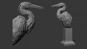 3D Grey Heron bust model