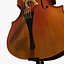 Stringed Musical Collection Matt